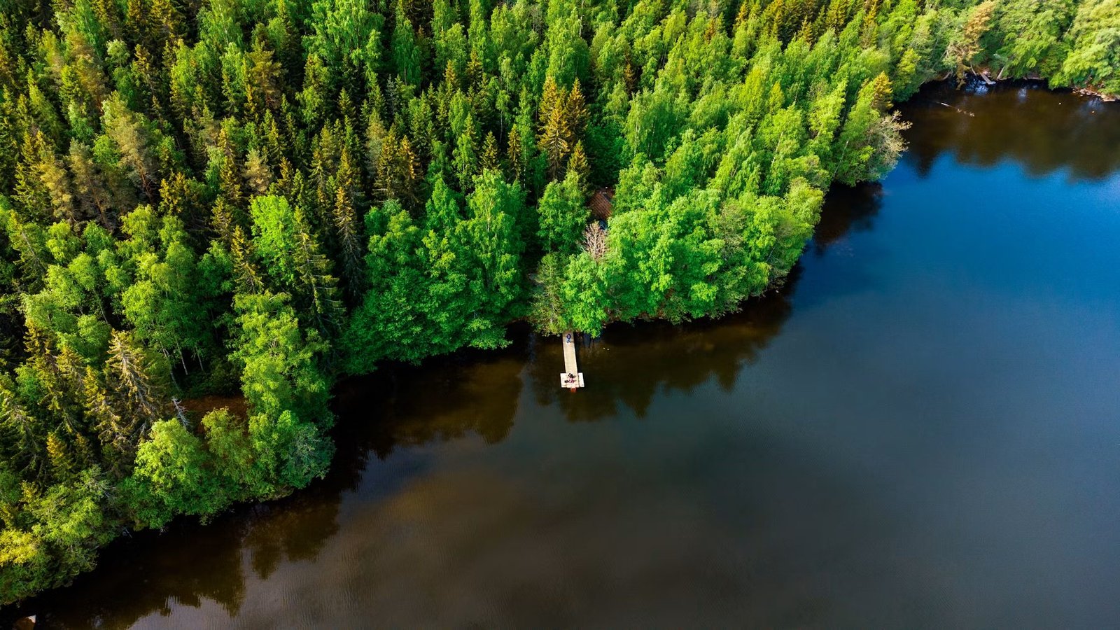 Finnish lake and forest landscape